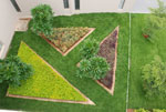 Plants: image 1 0f 4 thumb